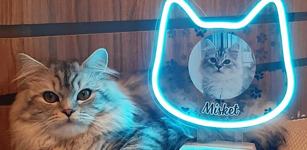 【未使用】Lemnosの「ARIKUI」おしゃれなアニマルデザイン 照明器具 Animal Neon Sign ideas for Animal Lovers