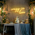 Crazy In Love Led Neon Sign Light, Custom Wedding Neon Sign For Reception, neon light sign for wedding